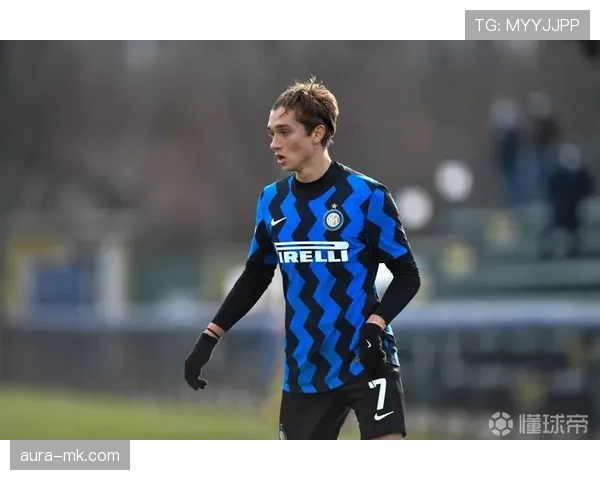 雷吉纳球队完成阵容优化,蓄势待发迎战新赛季 雷吉纳球队完成阵容优化,蓄势待发迎战新赛季