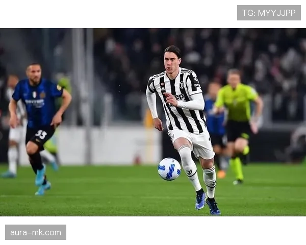 背身对抗能力：弗拉霍维奇的核心优势