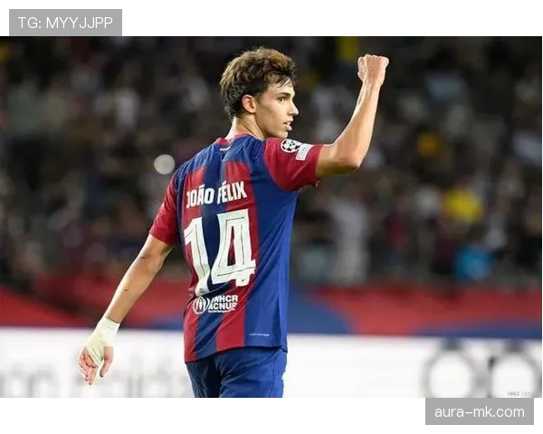 菲利克斯为何始终难稳定：天赋与环境的冲突分析