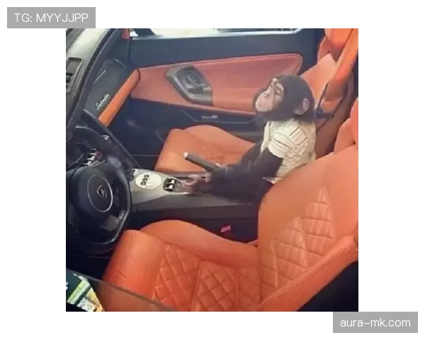 杨千霖又换豪车了？这生活尺度，普通人咋活得下去啊